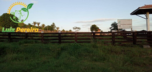 Imagem 12 de 15 de Fazenda À Venda Em Pacajá - Pa - De 625 Alqueirões (dupla Aptidão) - 1830