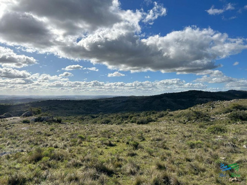 Imagen 14 de 24 de Lindo Campo Para Fraccionar, Sobre Ruta Y A Poco Mas De 1 Hora De Punta