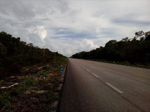 Imagen 2 de 3 de Renta De Terreno