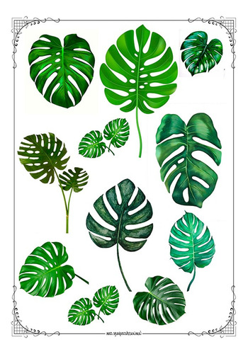 Monstera #06! Lámina Para Transferencias 21 X 29 Fibrofacil