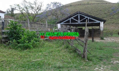 Imagem 13 de 15 de Fazenda Em Santa Branca 125 Alqueires - 805