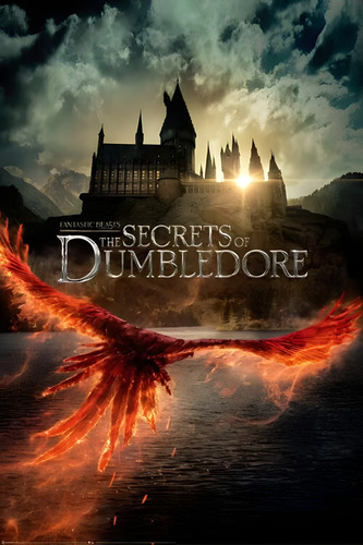 Póster The Secrets Of Dumbledore Autoadhesivo 100x70cm #832