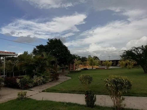 Imagen 7 de 30 de Angelica Naty Rent A House Casa En Venta Safari Carabobo Country Valencia Cod 22-204 Ar