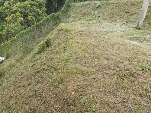 Imagen 11 de 16 de Terrenos En Venta