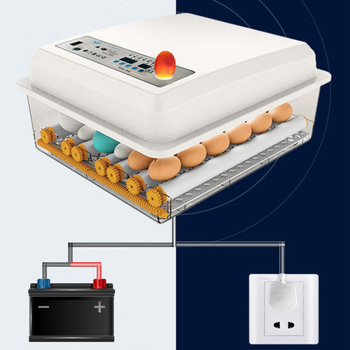 1 Incubadora De Ovos Incubadora Automática De 36 Ovos