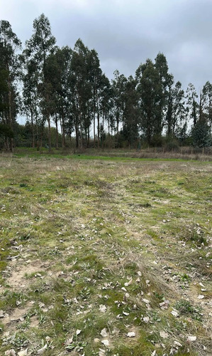 Inversión Ideal En Entorno Natural (134874)