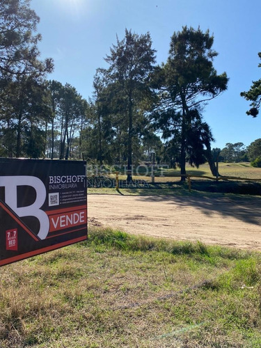 Imagen 2 de 16 de Hermoso Terreno, Zona Golf. Villa Gesell