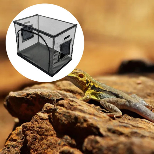 New Accesorios De Caja De Reptiles De Reptiles Reptilios