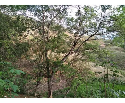 L-158 Lote Independiente (sector Via Sopetran - Sta Fe De Ant)