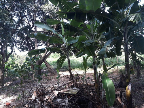 Lote, Qrts Para À Venda, Com 3.929,00 M², No Novo Horizonte,serra. - 791