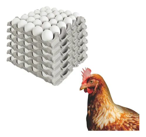 comprar Huevos Extra Blancos \u002F Caja De 180 Unidades