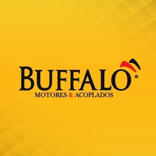 Filtro De Ar Para Motor Diesel 7.0cv Buffalo/branco/toyama