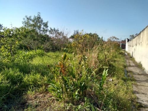 Imagem 5 de 7 de Terreno De 982 Metros No América | Itanhaém Litoral Sul Sp