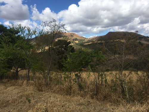 Imagem 8 de 24 de Chácara À Venda, 2800 M² Por R$ 80.000 - Zona Rural - Caldas/mg - Ch0126