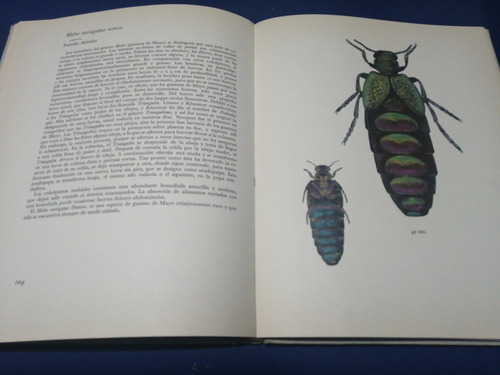 El Libro De Los Coleópteros Josef R. Winkler (Usado)