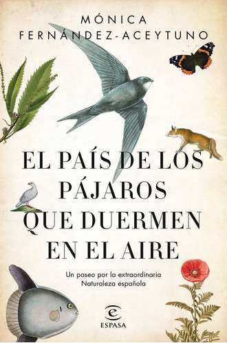 Pais De Los Pajaros Que Duermen En El Aire,el - Fernánde...