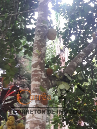 Chacara Com Otima Localizacao Em Juquitiba