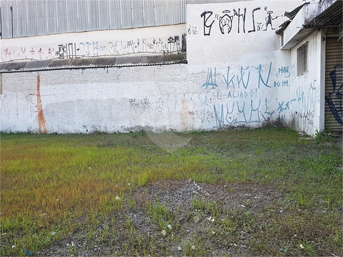 Imagem 13 de 19 de Excelente Terreno No Largo Do Socorro - Reo127155