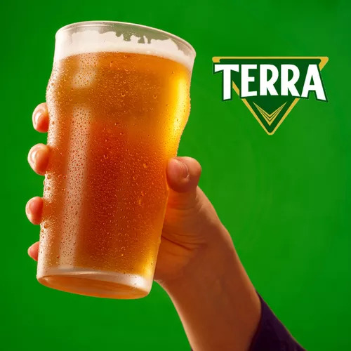 Pack Caixa 6 Latas De Cerveja Coreana Terra Lager 355ml
