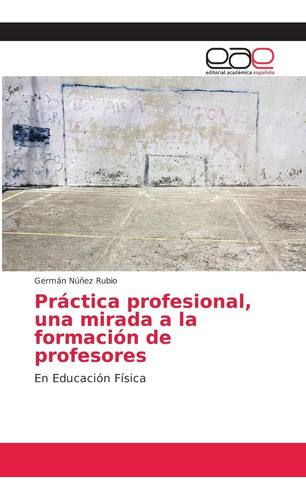 Libro: Práctica Profesional, Una Mirada A La Formación De En