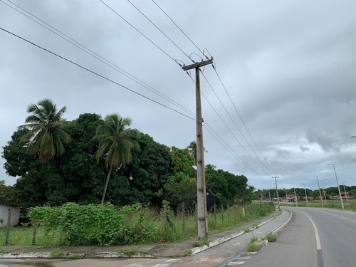 Imagem 6 de 25 de Terreno Para Alugar Na Cidade De Eusebio-ce - L13692