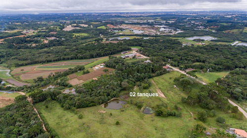 Imagem 4 de 30 de Área À Venda Com 88080m² Por R$ 14.950.000,00 No Bairro Campina Do Taquaral - São José Dos Pinhais / Pr - Mt195-ar
