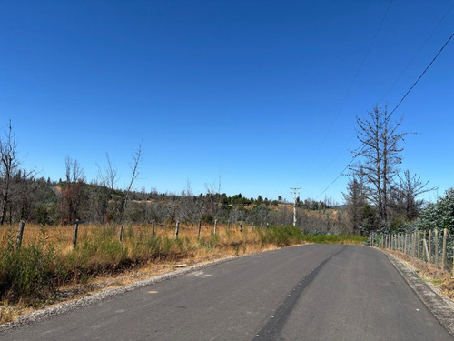 Terreno 5000 M2 Rinco 2 Comuna De Tome