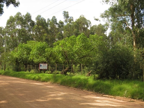 Chacra En Punta Ballena, Maldonado