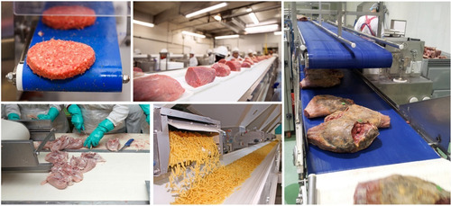 Imagen 3 de 4 de Bandas Transportadoras Sanitarias - Industria Alimenticia
