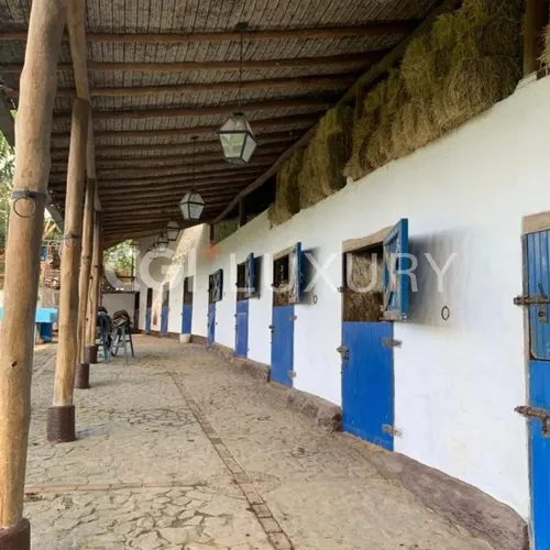 Cgi+ Luxury Vende Hermosa Caballeriza, Tejerias, Edo, Aragua. A 50 Minutos De Caracas