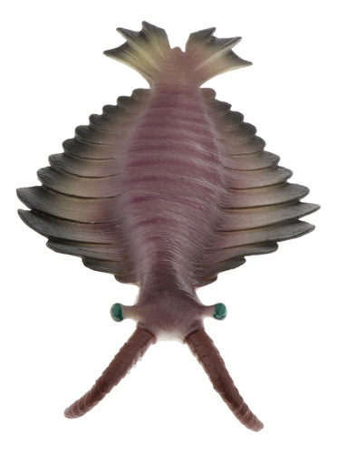 Juguetes Realistas De Animales Marinos Anomalocaris
