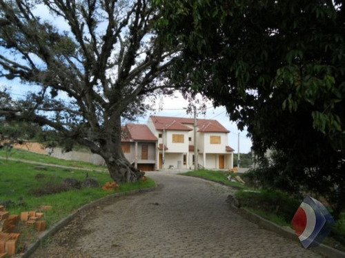 Imagem 4 de 7 de Terreno - Campo Novo - Ref: 1835 - V-1835
