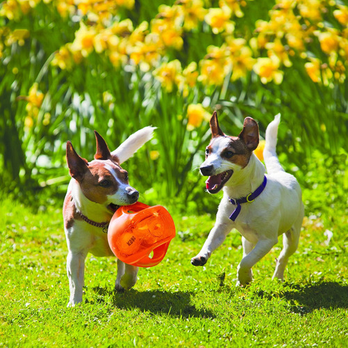 O Kong Jumbler Ball - Juguete Interactivo Para Perros Y