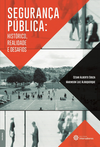 Segurança pública: histórico, realidade e desafios, de Souza, César Alberto. Editora Intersaberes Ltda., capa mole em português, 2017