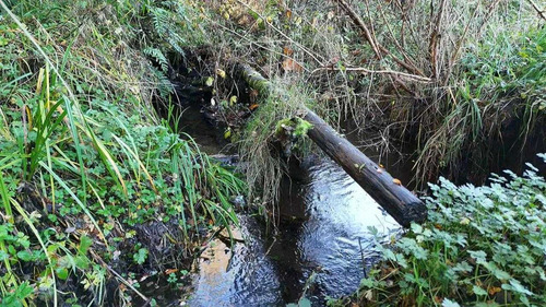 Campo En Venta Inversionista Pitrufquen (104143)