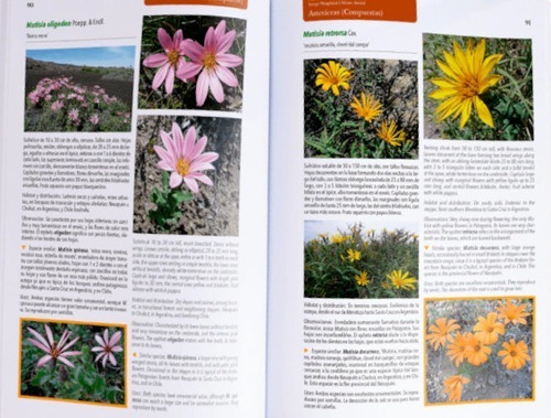 Plantas De La Patagonia Extra-andina: Estepa Patagónica Y Monte Austral, De Marcela Ferreyra ; Cecilia Ezcurra. Editorial Ediciones Lbn, Tapa Blanda En Español/inglés, 2023
