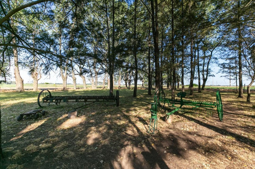 Imagen 10 de 30 de Oportunidad De Chacra Más Campo -18ha - En Virrey Del Pino