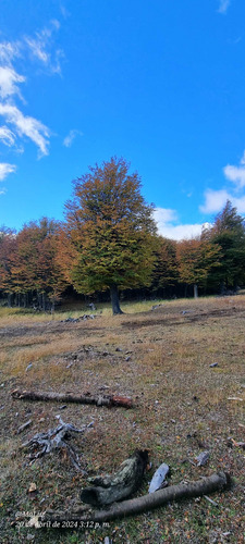 Sector Cerro Galera, Coyhaique (71829)