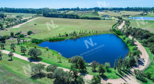 Imagen 12 de 20 de Lotes En Venta En Barrio Privado - Punta Del Este Punta Del Este