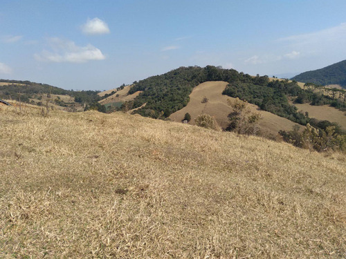 Imagem 1 de 14 de Camanducaiamg Linda Chácara 1.500m2
