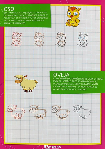 Libro Animales De Colores + Pizarra P/dibujar + Cd - Niños
