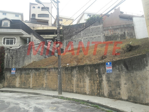 Imagem 2 de 2 de Terreno Em Jardim São Bento - São Paulo, Sp - 305198