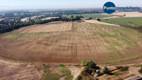 Imagen 8 de 13 de Abundante Agua. Uso Agrícola Y Frutícola