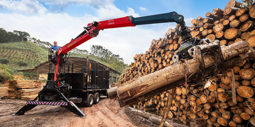 Palfinger Hidrogua Hidro Grua Forestal Chatarra - Sisler