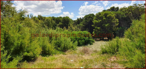 Venta Terreno Avenida Costanera Balneario Pehuen Có