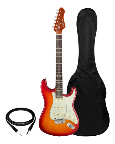 Guitarra Electrica Stratocaster Parquer Funda Palanca - Cuo