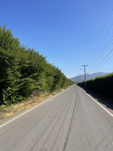 Se Vendevendo Parcela En El Melón, Con Plantación De Nogal