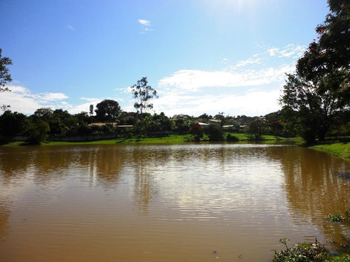 Imagem 12 de 22 de Terreno À Venda, 5000 M² Por R$ 2.000.000,00 - Condomínio Moradas São Luiz - Salto/sp - Te1211