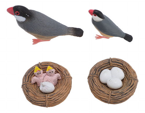 Juego De Modelos De Aves, Juguete Para Incubar Con Ciclo De