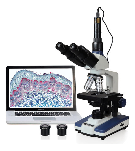 Vision Scientific Microscopio Compuesto Trinocular Siedento.